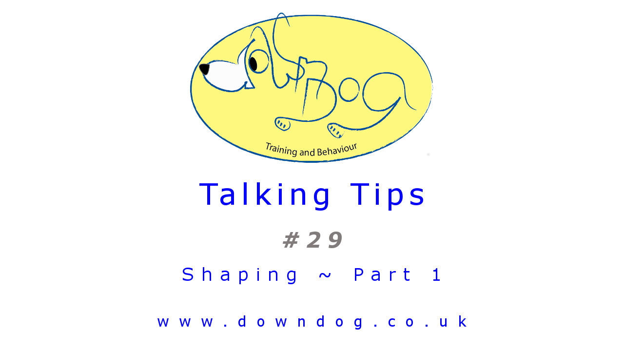 Tip 29 - Shaping Part 1 (The talking one)