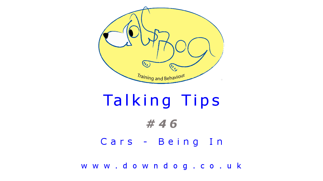 Tip 46 - Being in Cars
