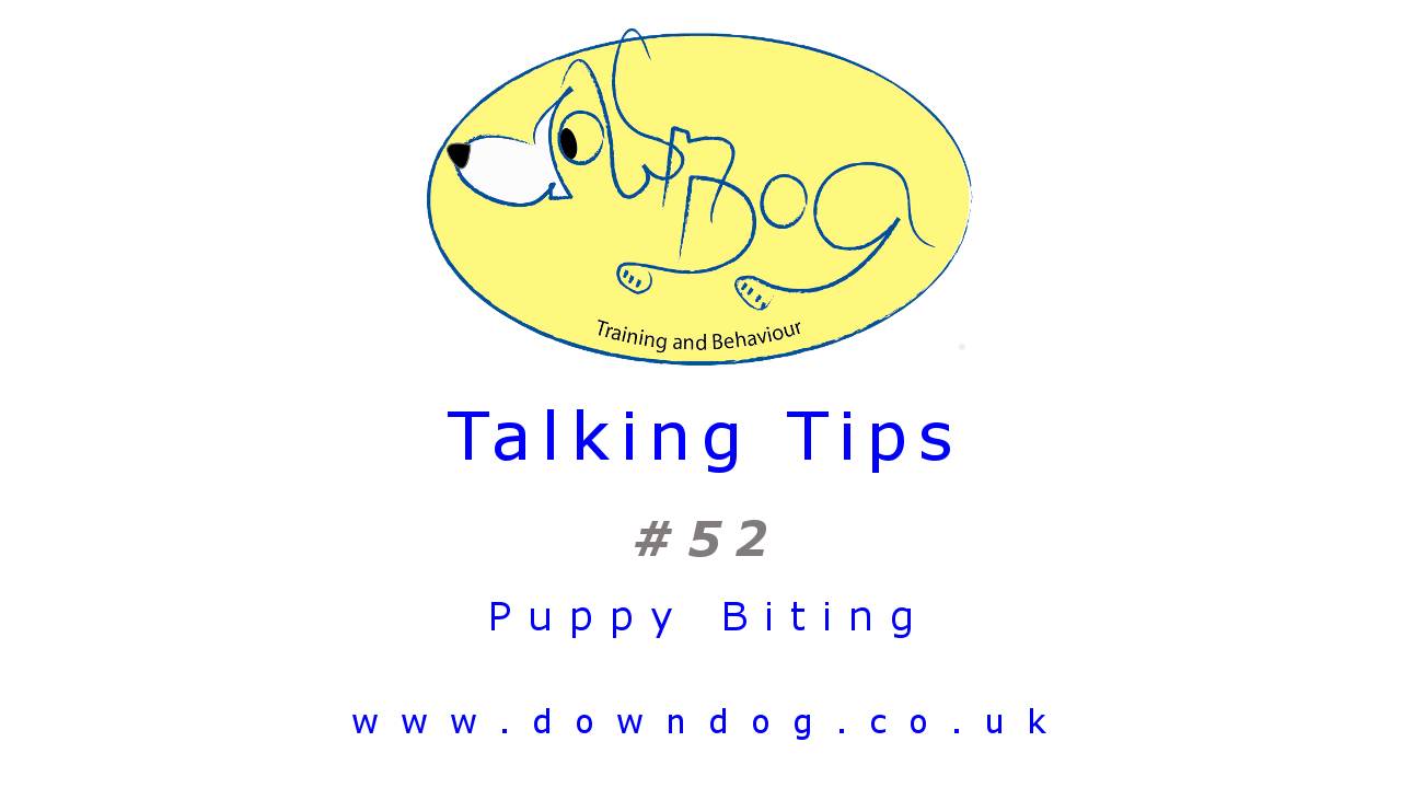 Tip 52 - Puppy Biting